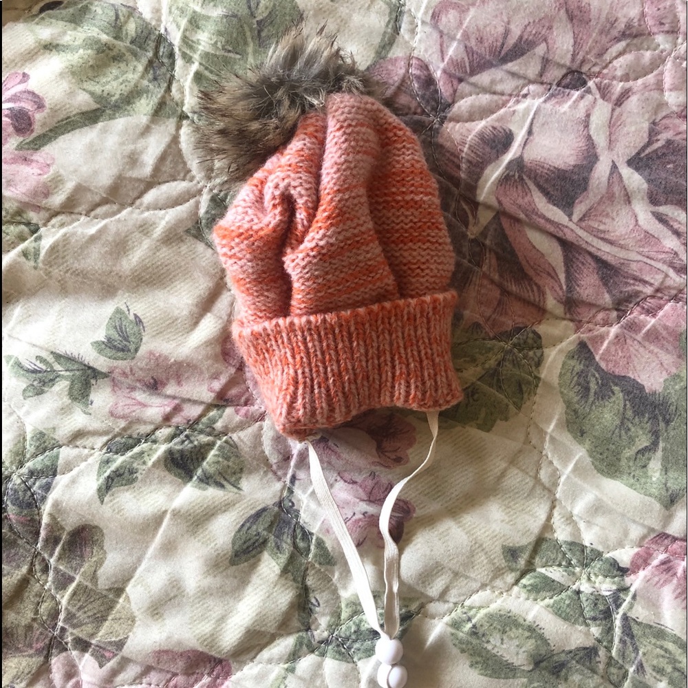 Dog Beenie